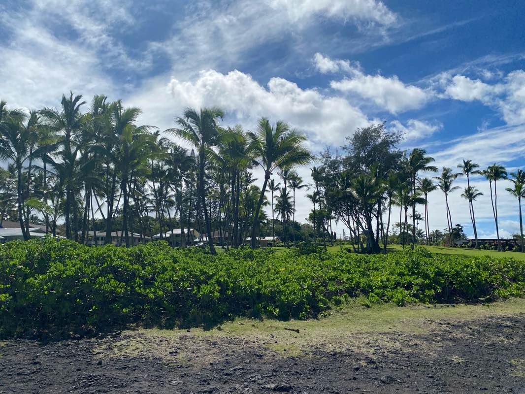 walking near me in Kahakai Park in winter