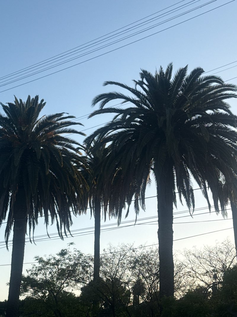 walking near me in Echo Park in spring