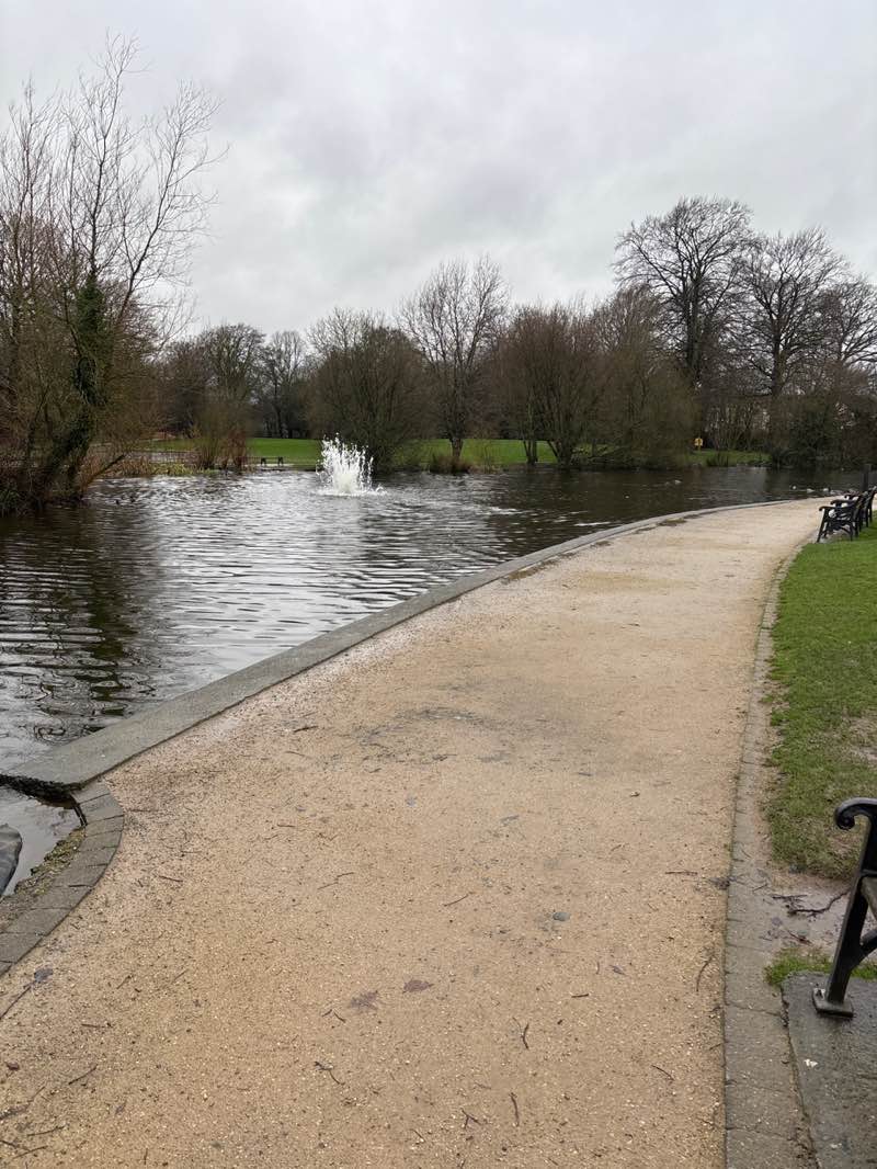 walking near me in Ice House Hill Park in winter