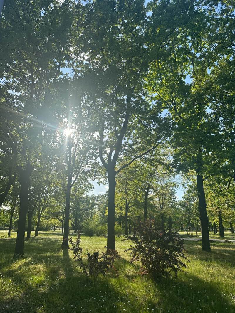 walking near me in Блок 10 in winter