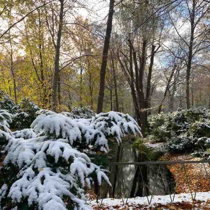 Veronika 🇲🇽🇩🇪 post 2