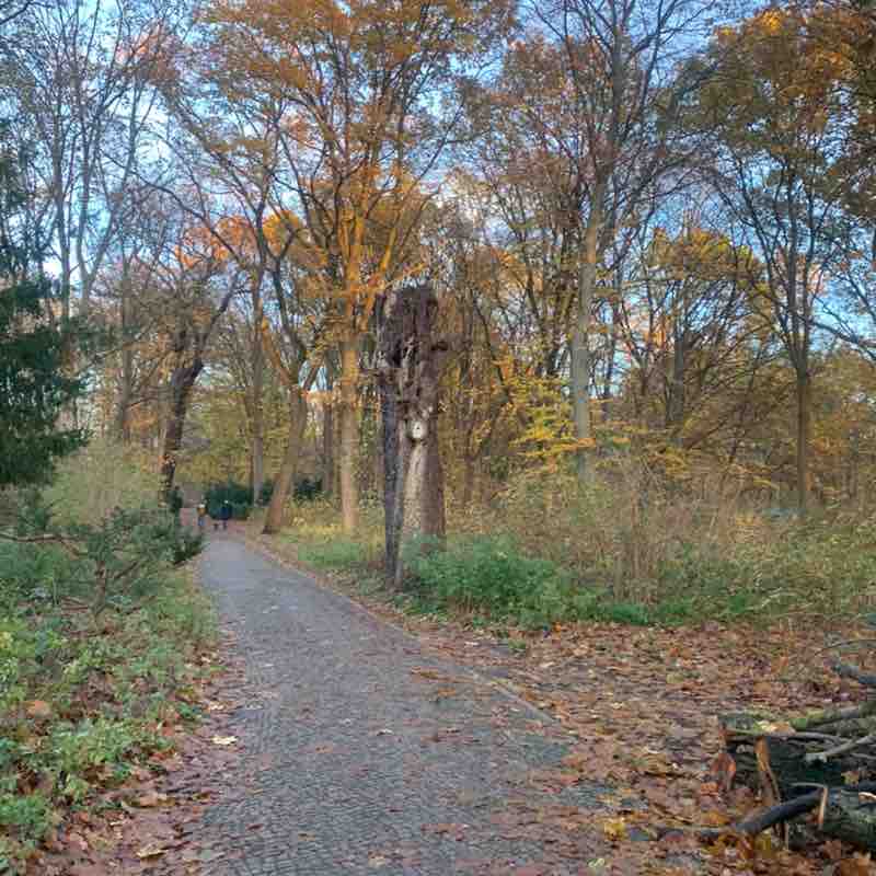 Veronika 🇲🇽🇩🇪 post 3