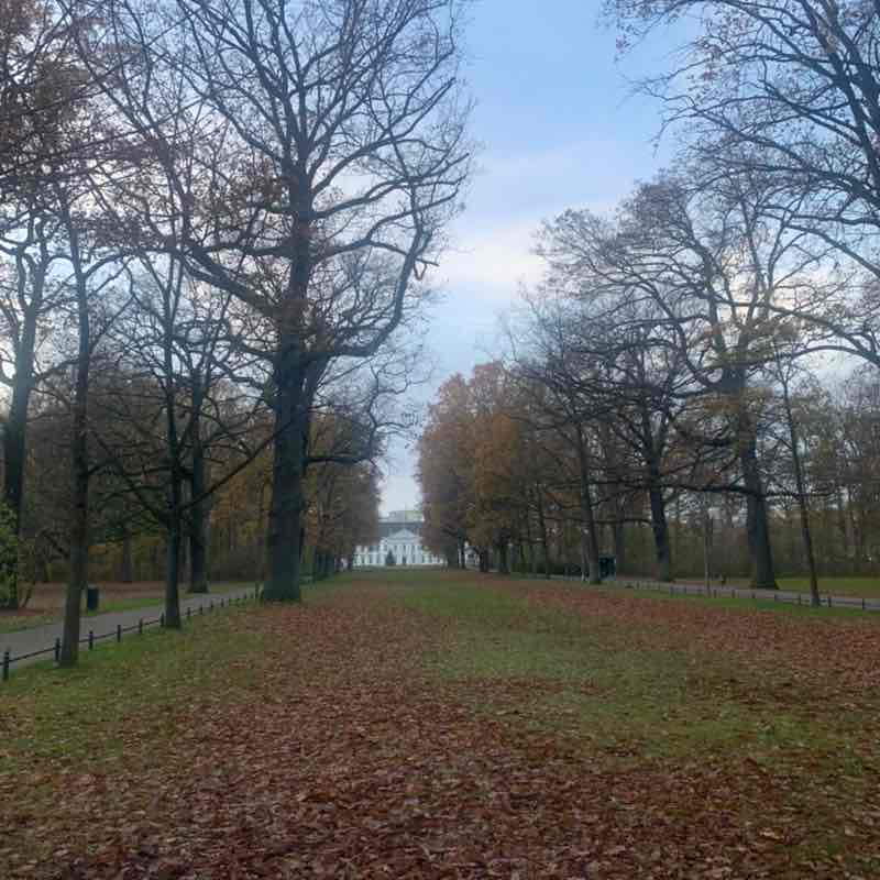 Veronika 🇲🇽🇩🇪 post 2