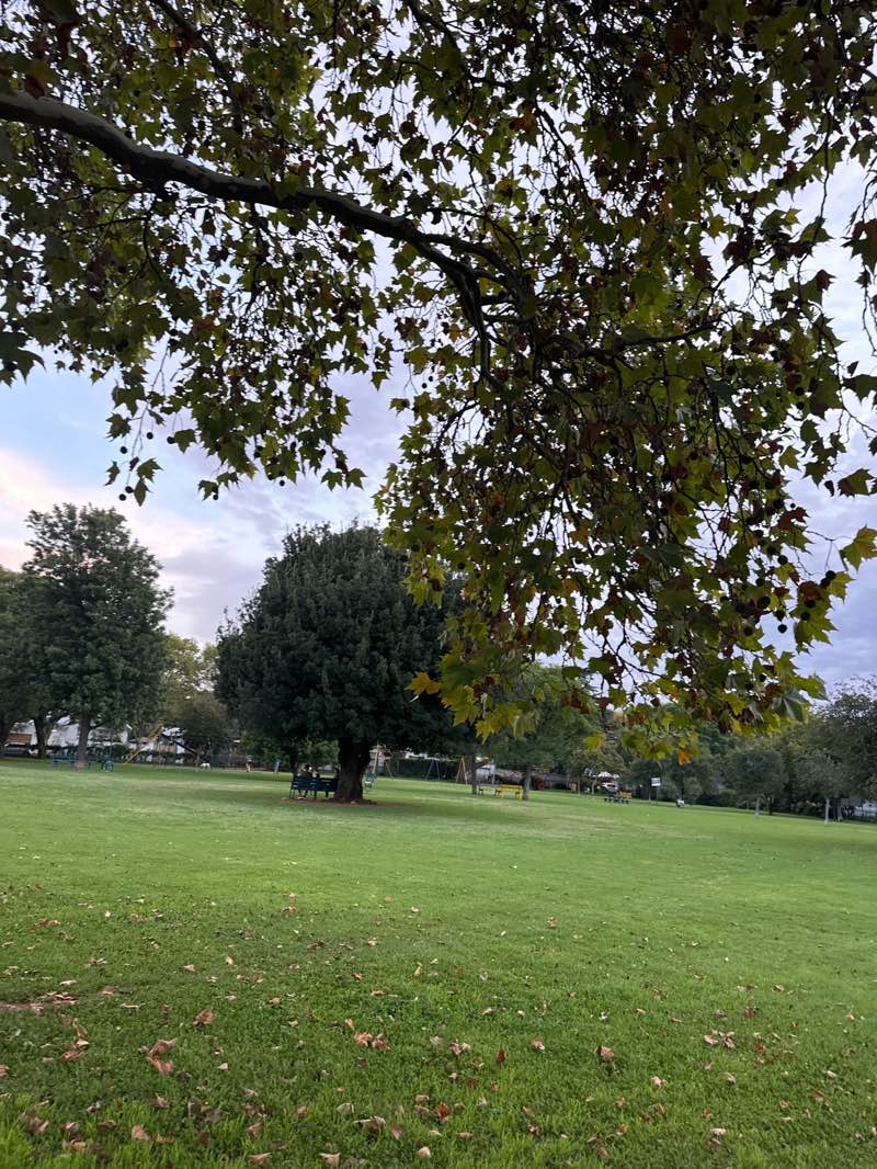 walking near me in George Hay Park in autumn
