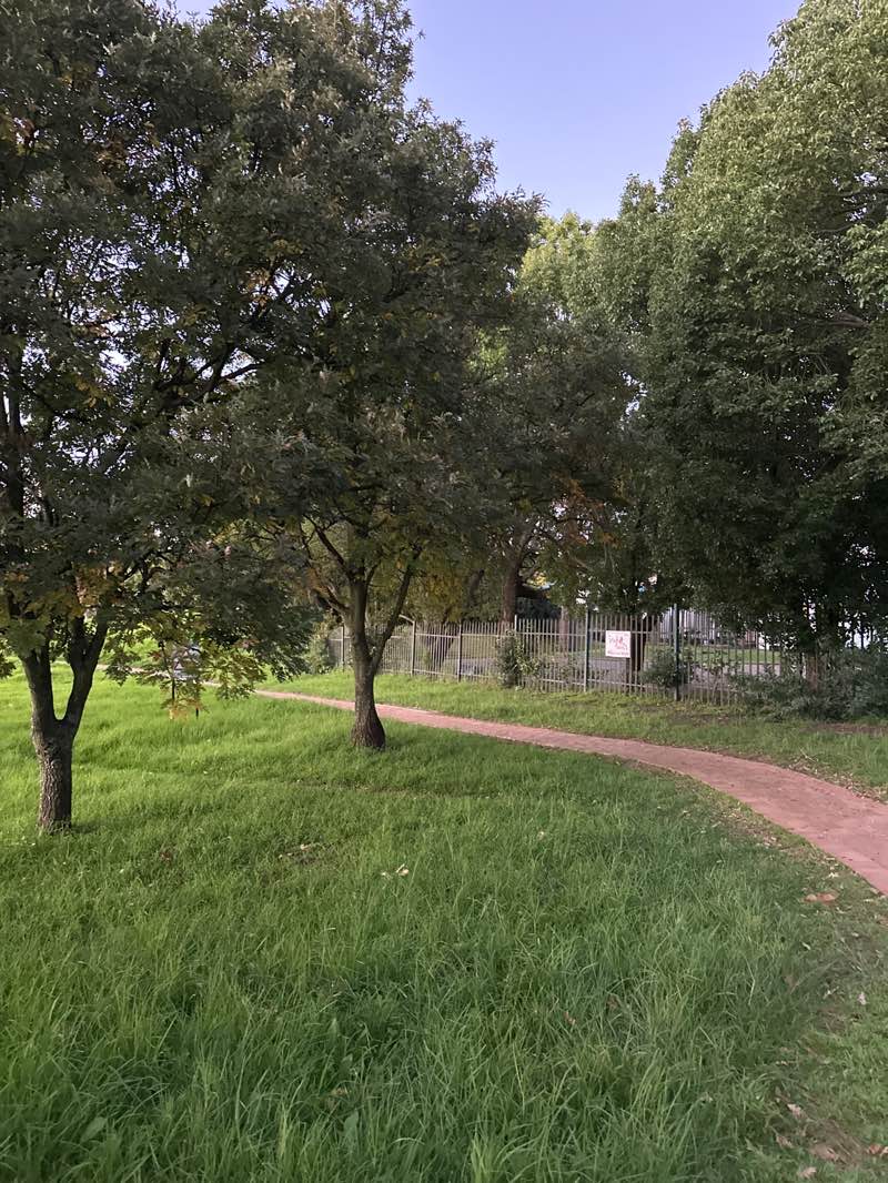 walking near me in Hugh Wyndam Park in autumn