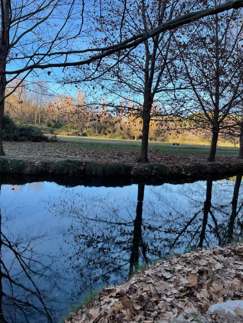 walking near me in Fuentes del marqués in winter