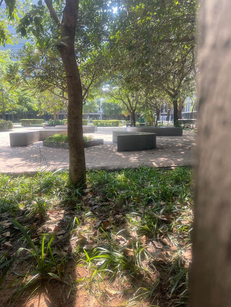 walking near me in TRIL Central Park in winter