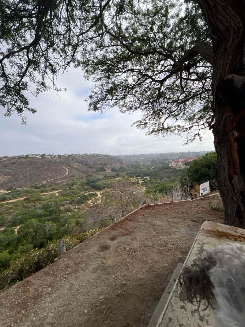 walking near me in Tecolote Canyon Natural Park in summer
