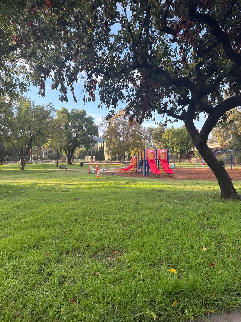 walking near me in Elmer Digneo Park in autumn