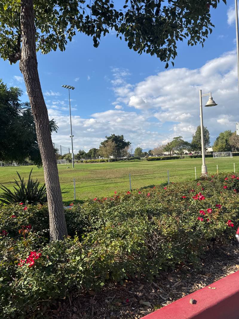 walking near me in Ontario Soccer Park in autumn