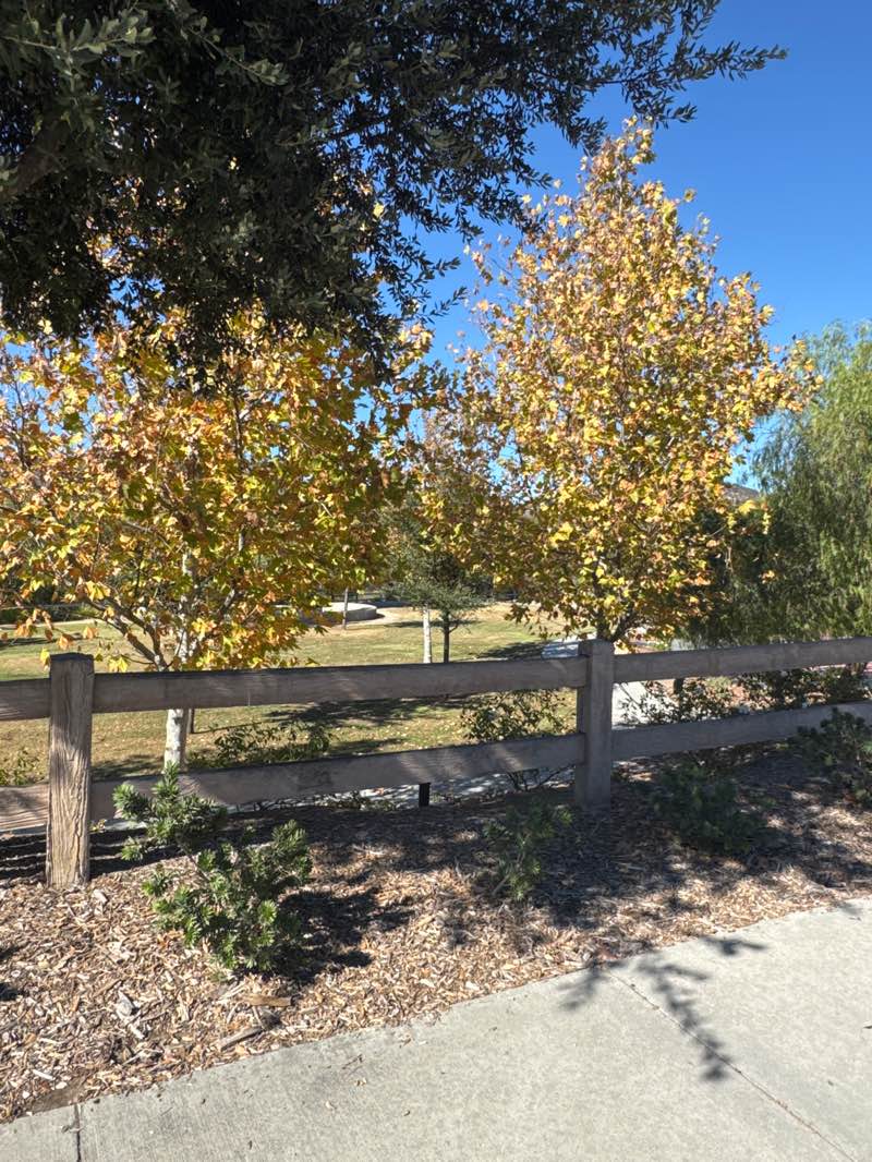 walking near me in Antelope Hills Park in autumn
