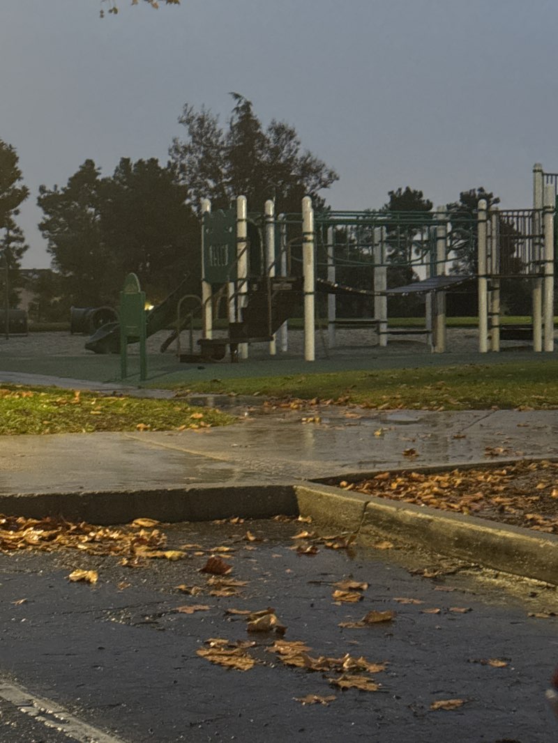 walking near me in Vintage Park in autumn