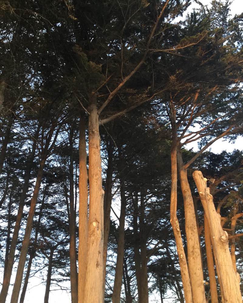 walking near me in Seascape Park in winter