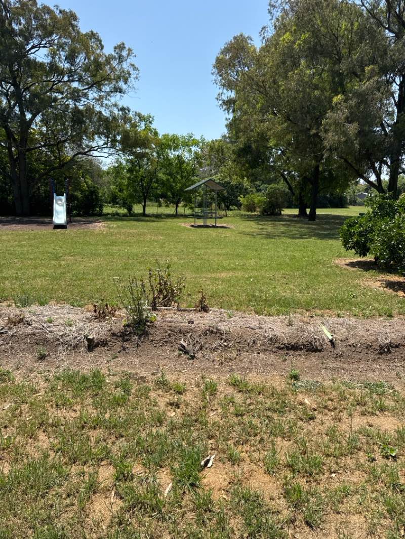 walking near me in Lions Park in spring