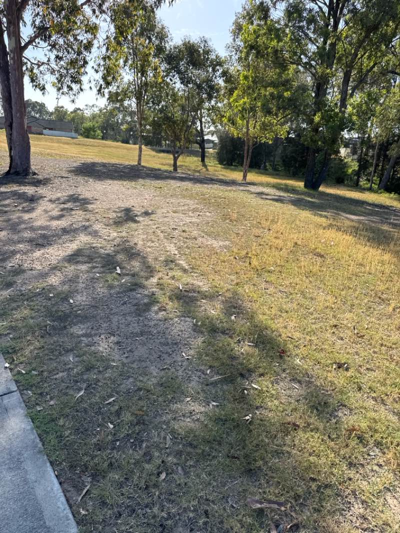 walking near me in Max McMahon Oval in spring