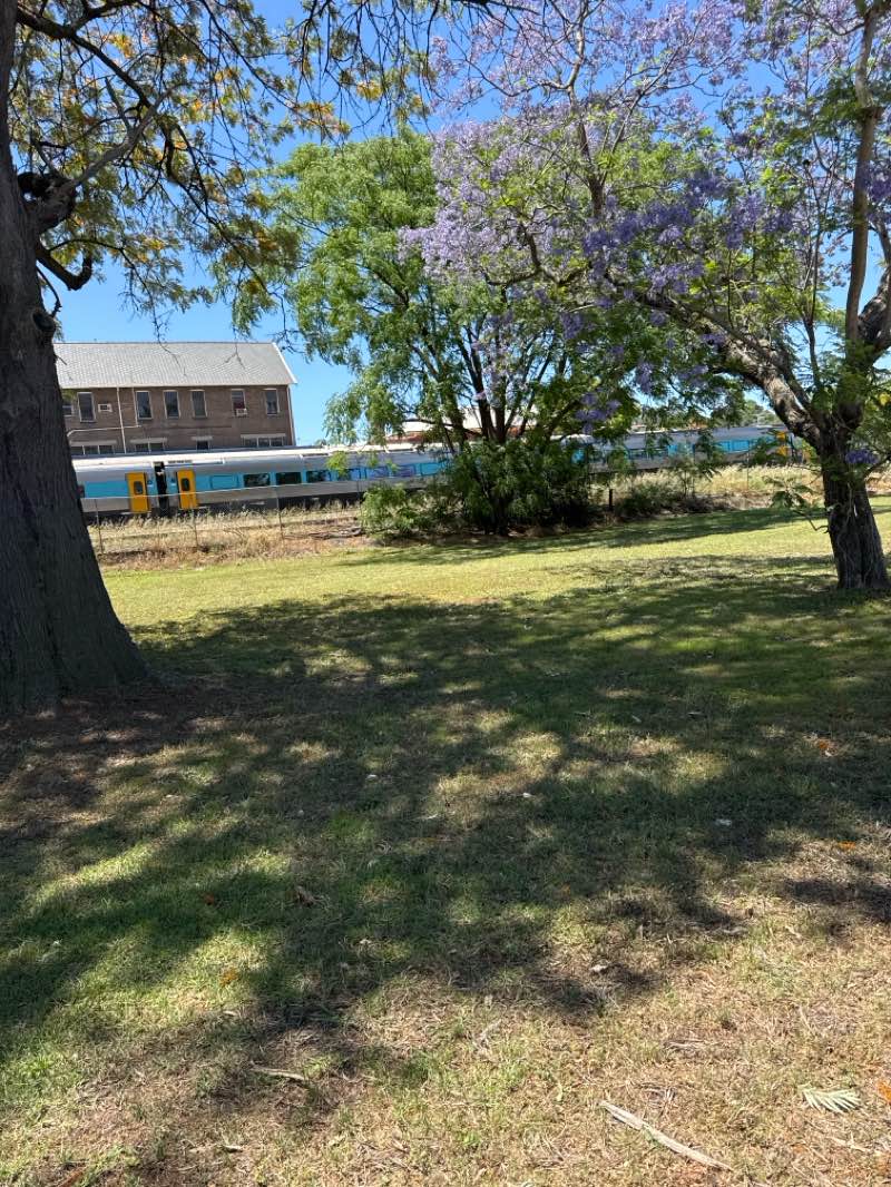 walking near me in Olympic Park in spring