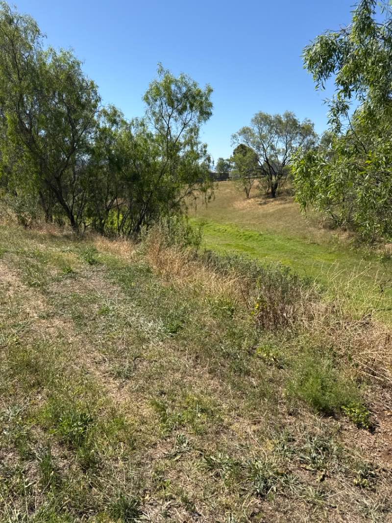 walking near me in Volunteer Park in spring