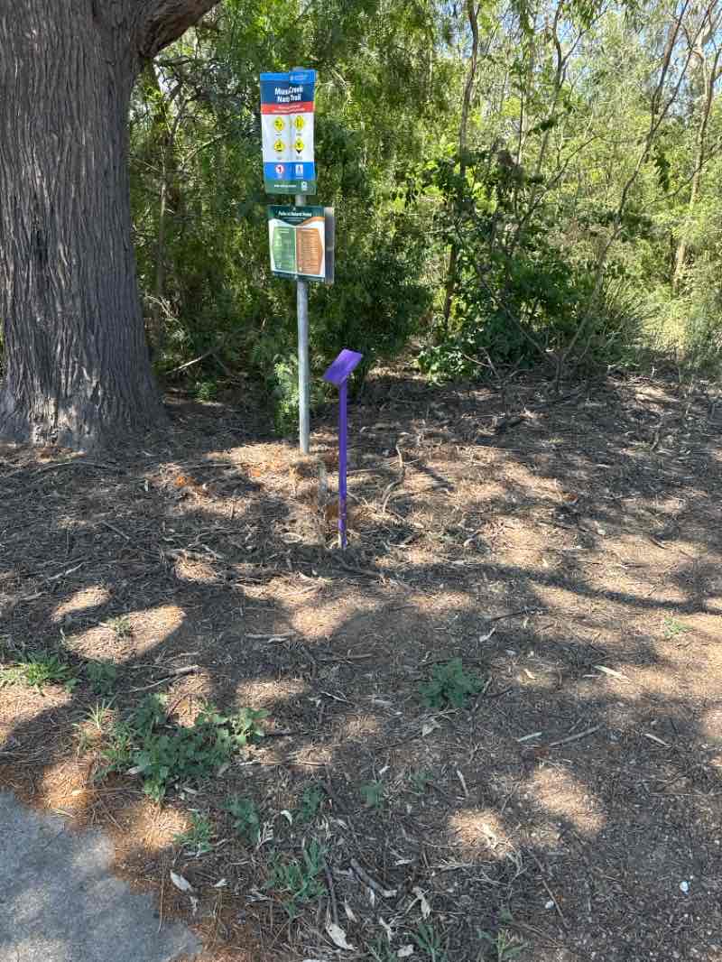 walking near me in Simpson Park in spring