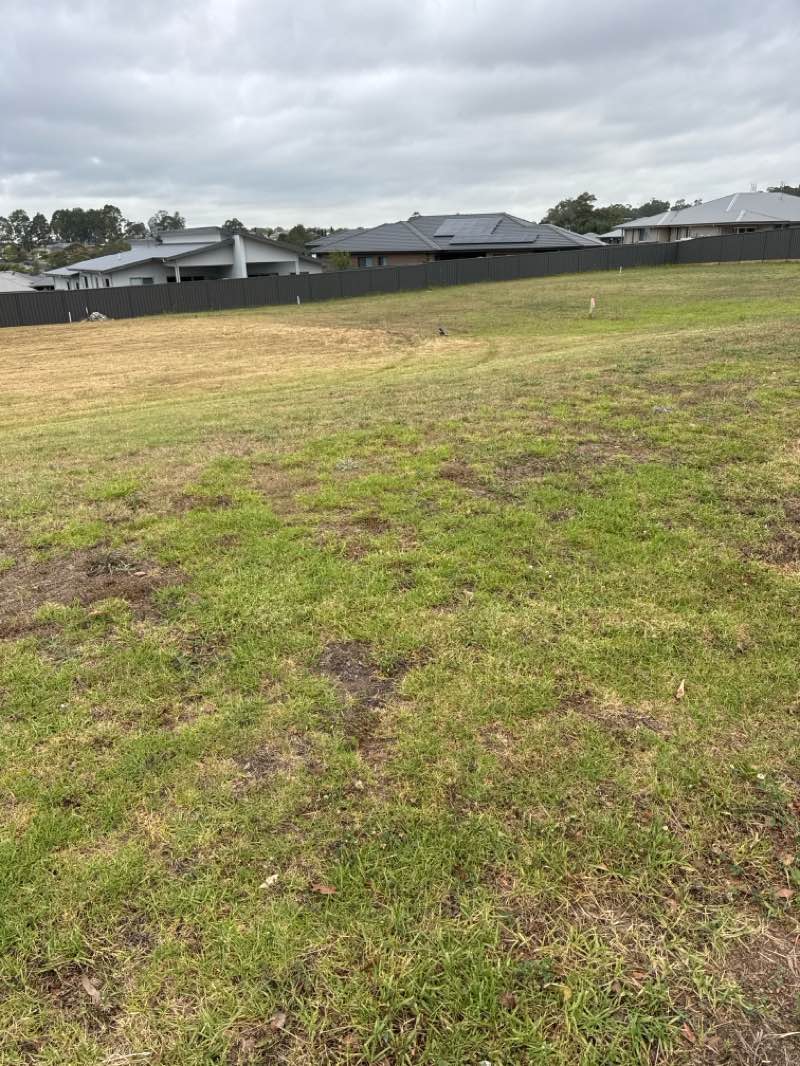 walking near me in Norm Chapman Oval in spring