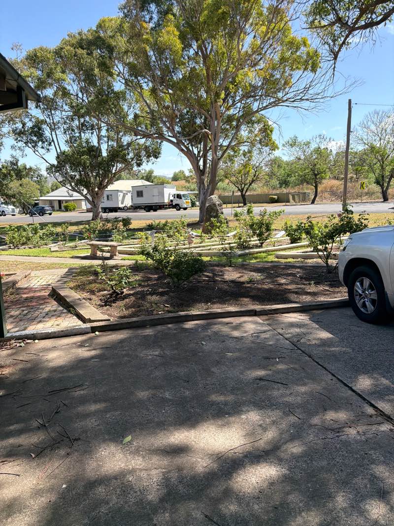 walking near me in Dangar Park in spring