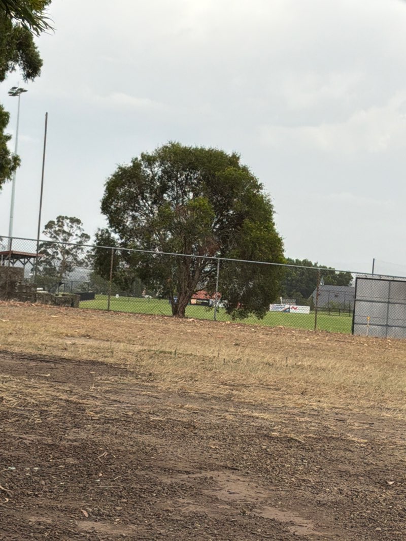 walking near me in Cooks Square Park in summer