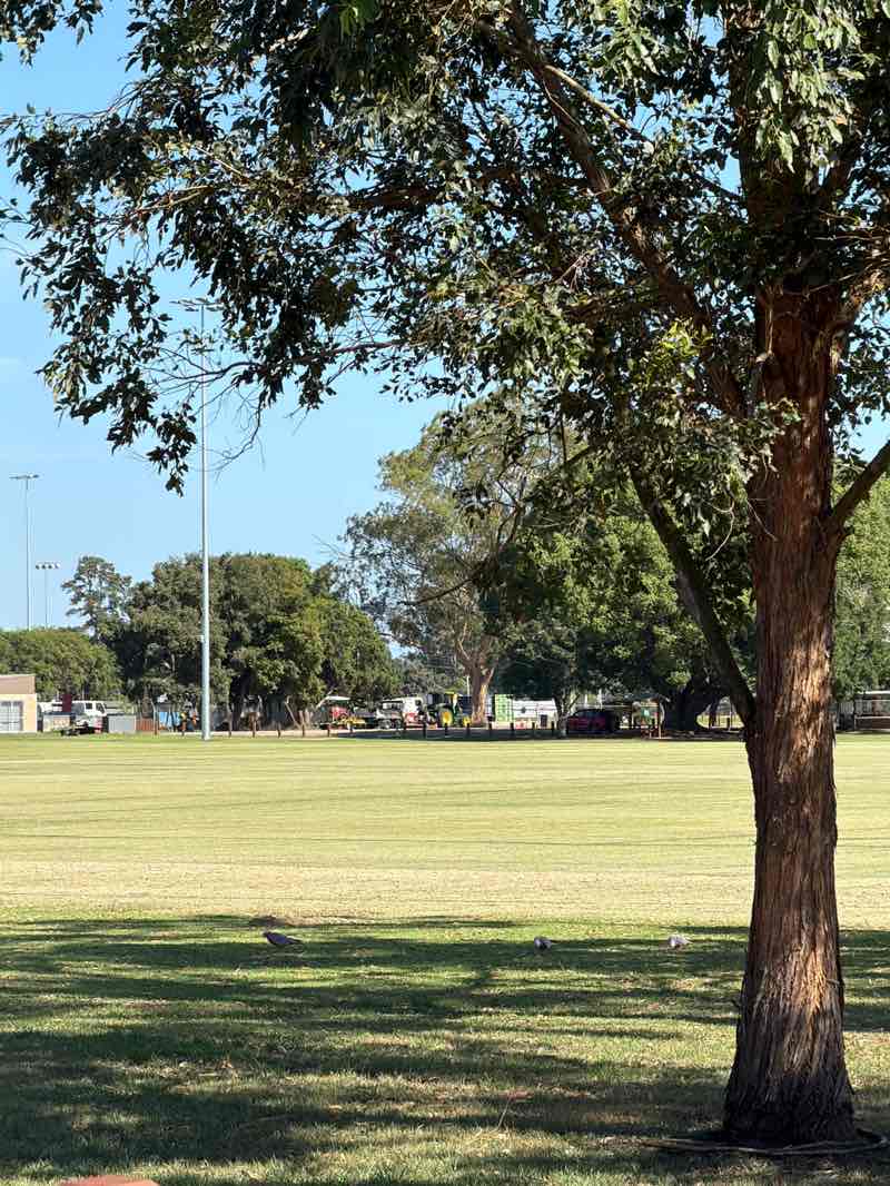 walking near me in Maitland Park and Aquatic Centre in summer