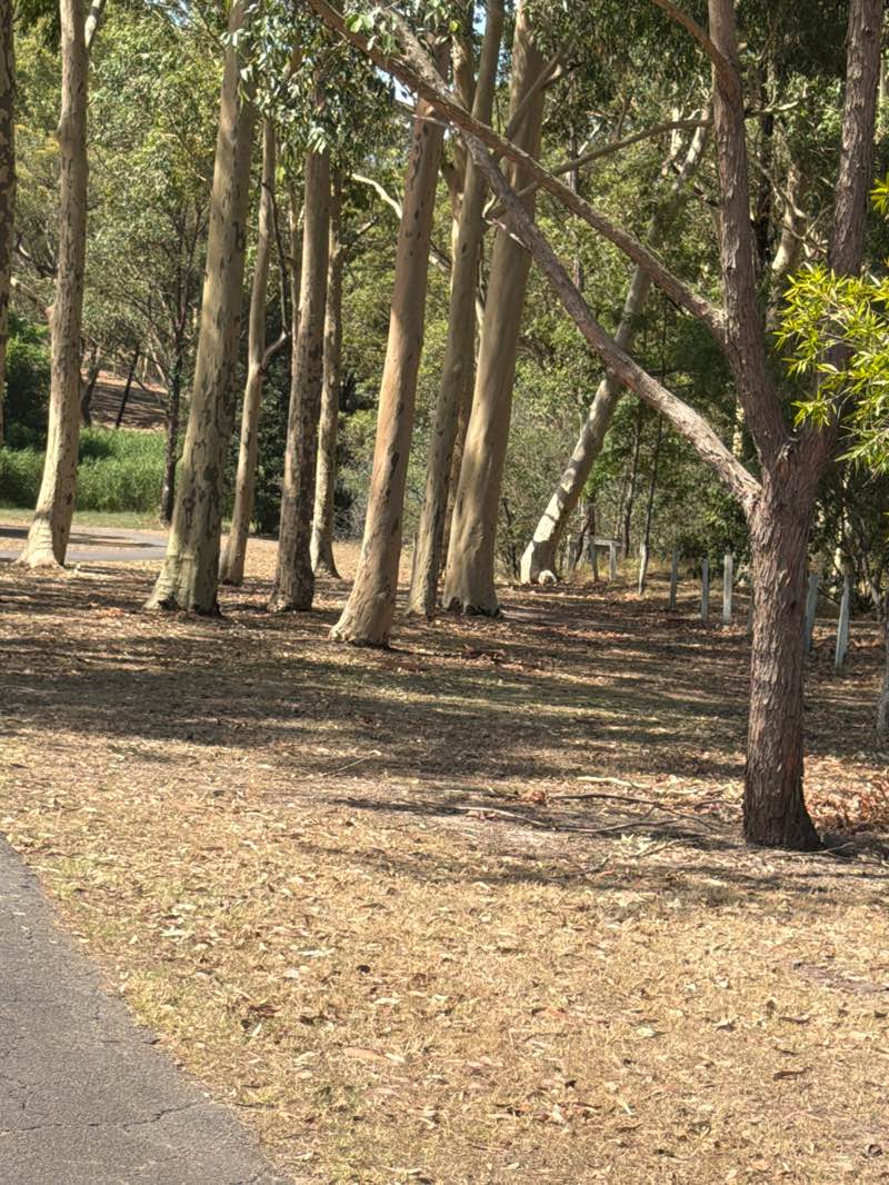 walking near me in Greenhills Community Park in summer
