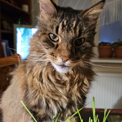 Fitness Adventures ๐ ะะธะบัะพั post image