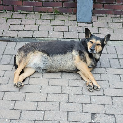 Fitness Adventures 🌍 Виктор post image