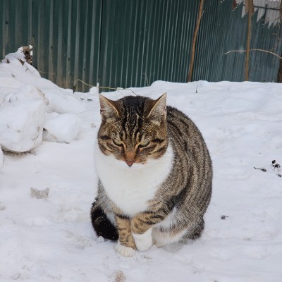 Hiking Thru Cities In History Виктор post image