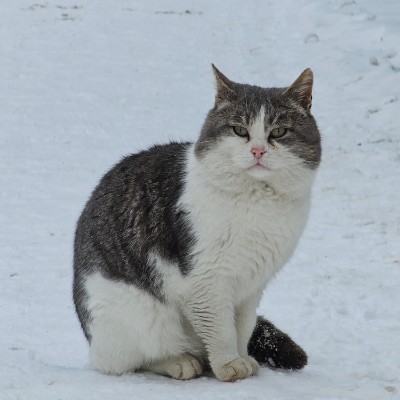 Hiking Thru Cities In History Виктор post image