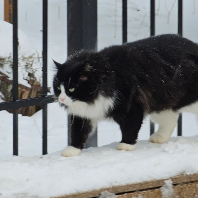 Fitness Adventures 🌍 Виктор post image