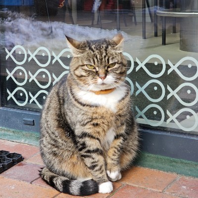 Движение - жизнь! 👣 Виктор post image