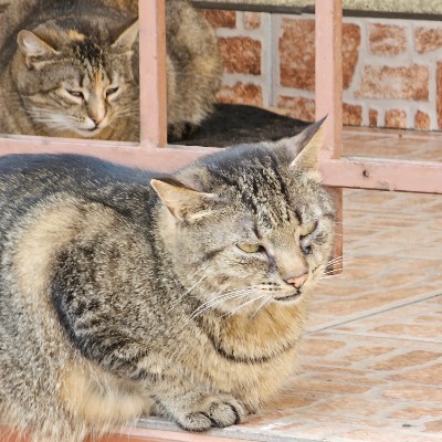 5Km Everyday Виктор post image