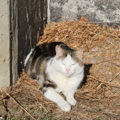 5Km Everyday Виктор post image