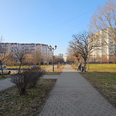 ๐Cats๐ ะะธะบัะพั post image