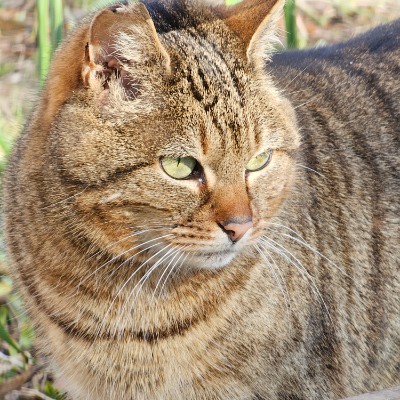 5Km Everyday Виктор post image