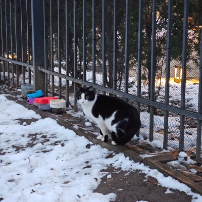 5Km Everyday Виктор post image