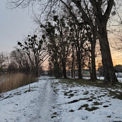 5Km Everyday Виктор post image