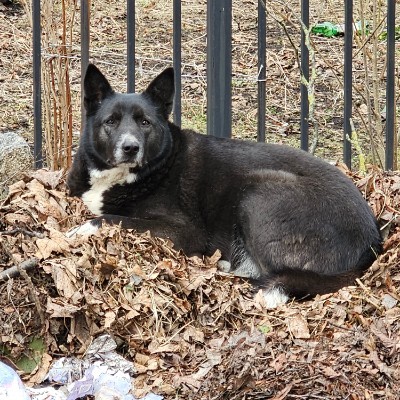 5Km Everyday Виктор post image