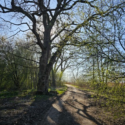 5Km Everyday Виктор post image