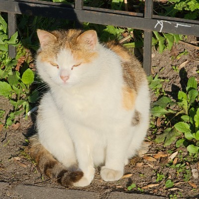 5Km Everyday Виктор post image