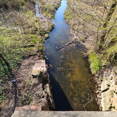 Rose,🍀🌹 🌹🌹🌹🌹🌹🌹 🌹 💁‍♀️ Виктор post image