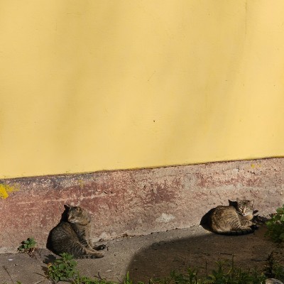 Пешком по Калининграду. Виктор post image