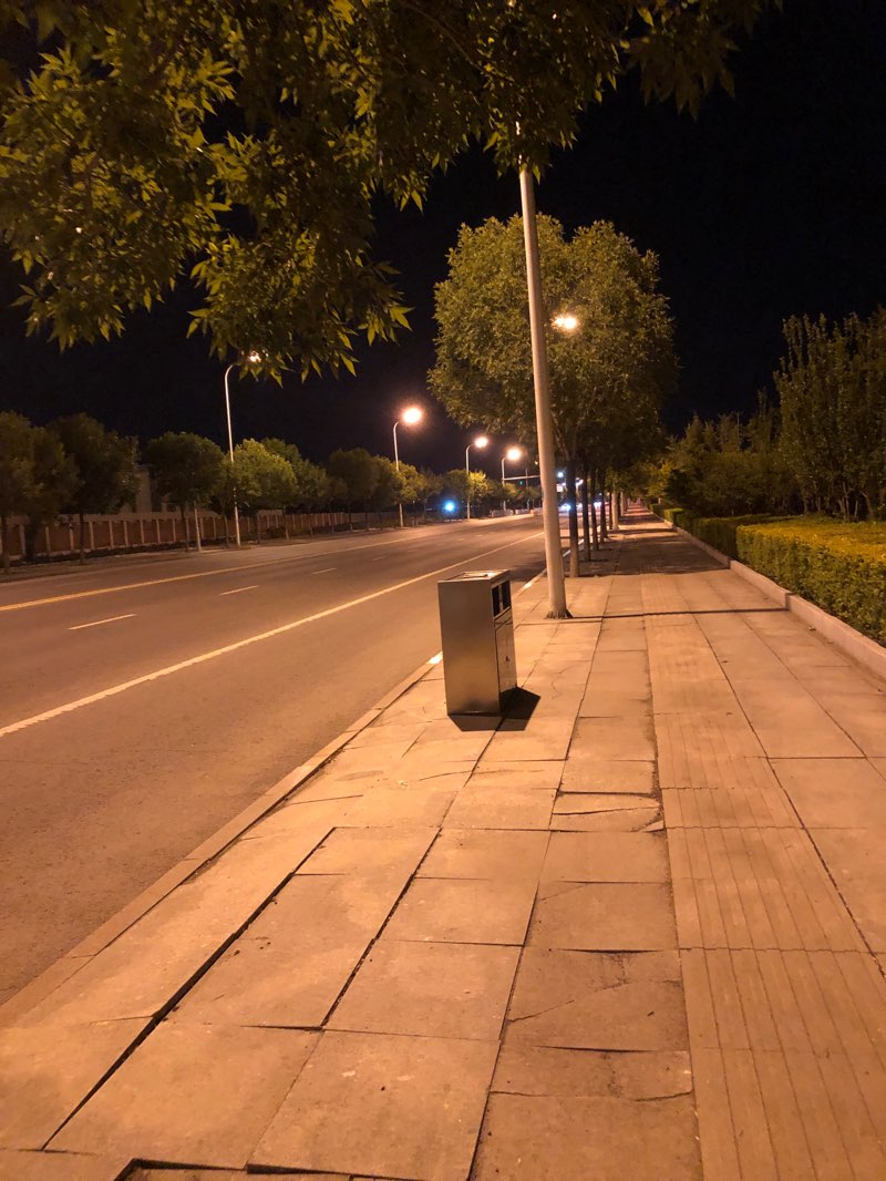 walking near me in 学府园 Xuefu Park in winter