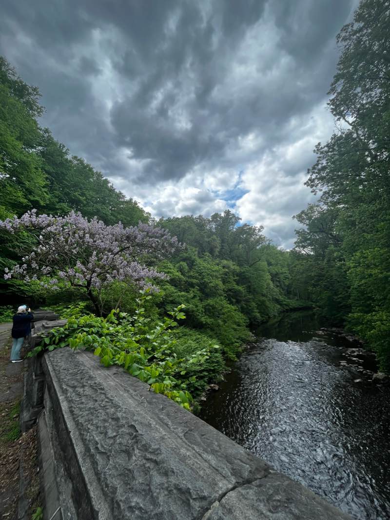 walking near me in Wissahickon Valley Park in winter