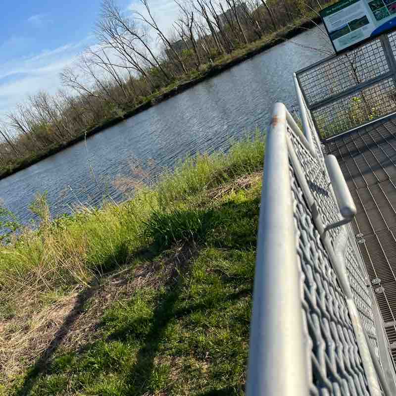 🇺🇸❤️🏳️‍🌈Mena🏳️‍🌈 post 3