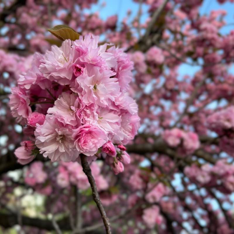 🇺🇸❤️🏳️‍🌈Mena🏳️‍🌈 post 3