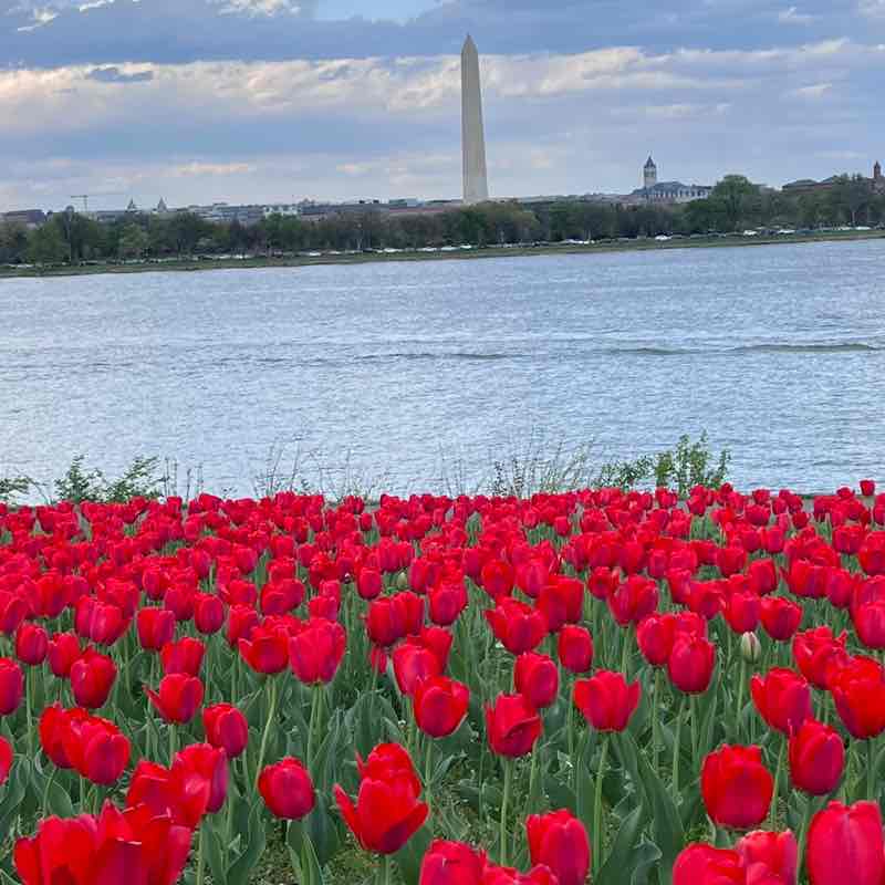 🇺🇸❤️🏳️‍🌈Mena🏳️‍🌈 post 3