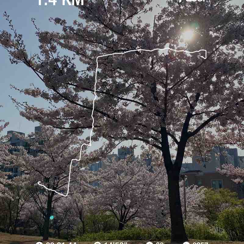 오르비폴리아 post 1